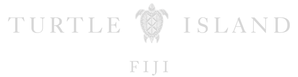 turtleisland logo