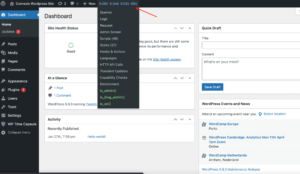 query monitor toolbar