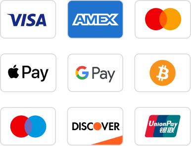 Logos of Visa, Mastercard, Apple Pay, and Google Pay showing diverse accelerated payment options.
