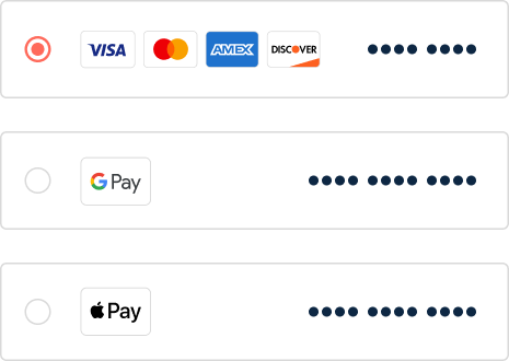 Checkout interface showing multiple payment options that boost conversions with accelerated payments.